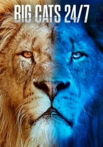 Big Cats 24/7, Season 2