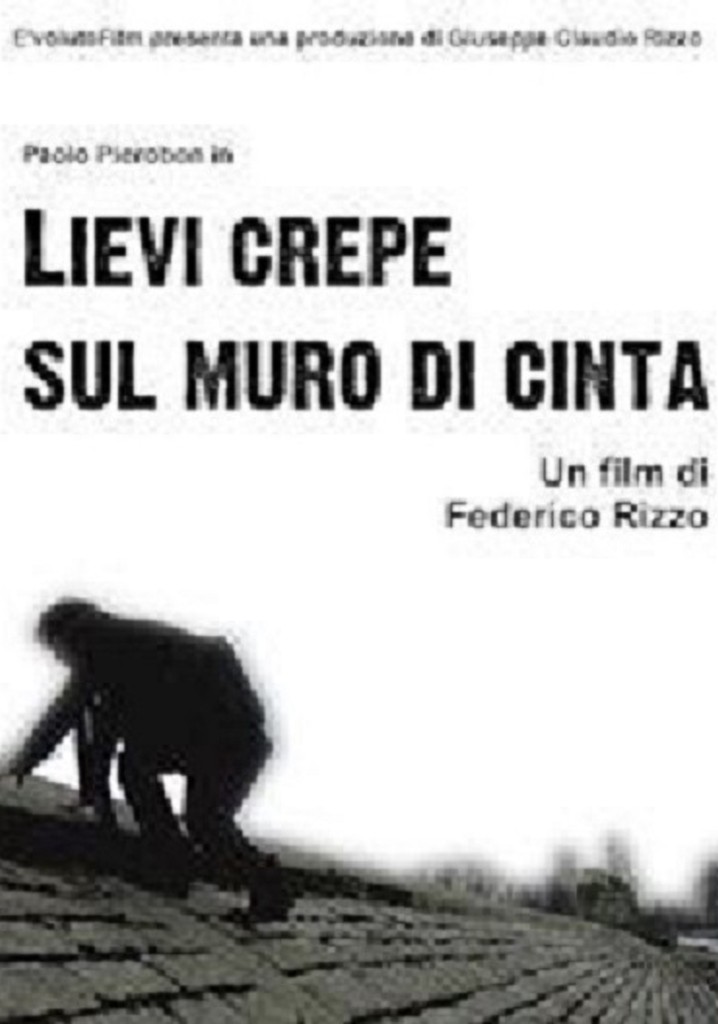 Lievi crepe sul muro di cinta
