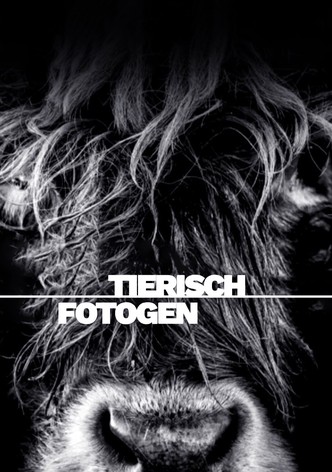 Bestialement photogénique