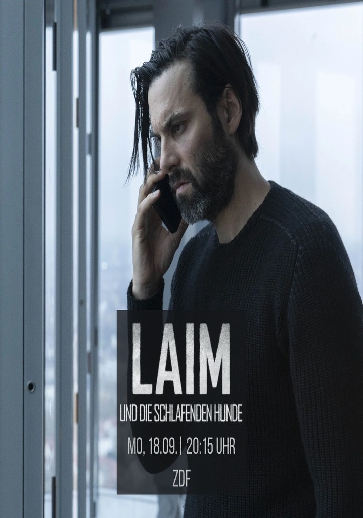 Laim and the Sleeping Dogs