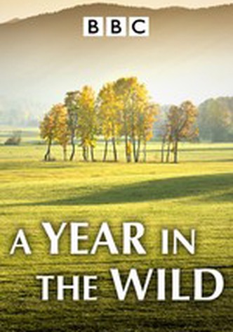 A Year in the Wild