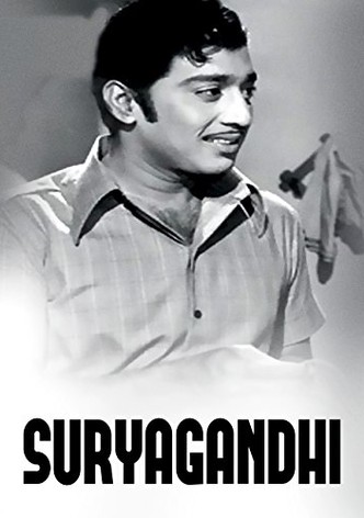 Suryagandhi