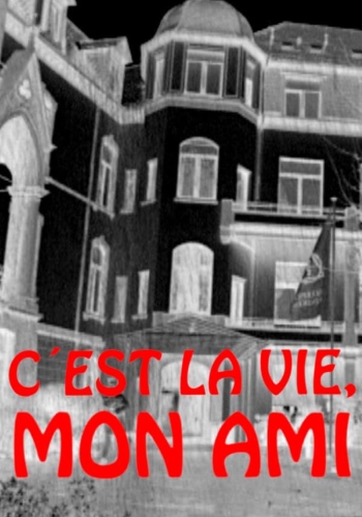 C'est la vie, mon ami