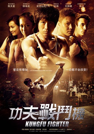 Kung Fu Fighter