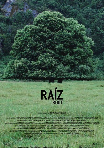 Root