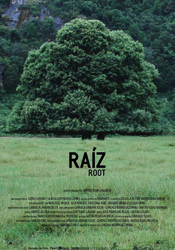 Root