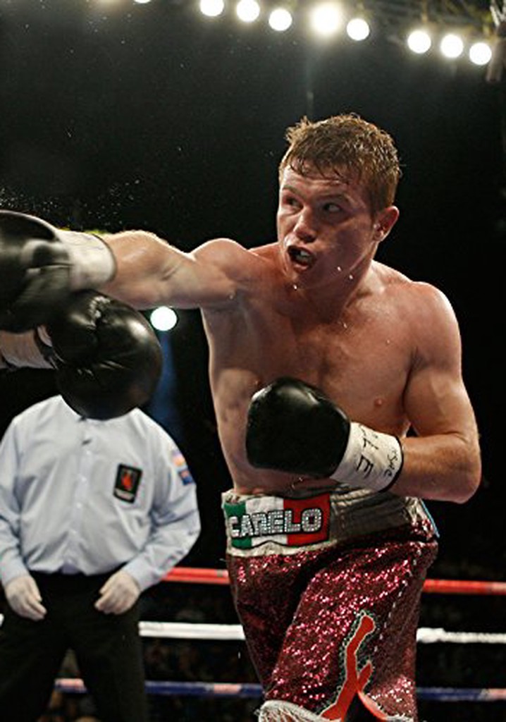 Big Hits: Top of the Pops 1964 to 1975