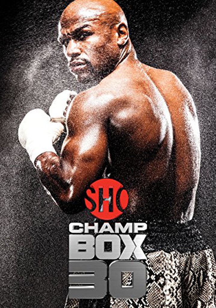 Floyd Mayweather Jr. vs. Marcos Maidana I