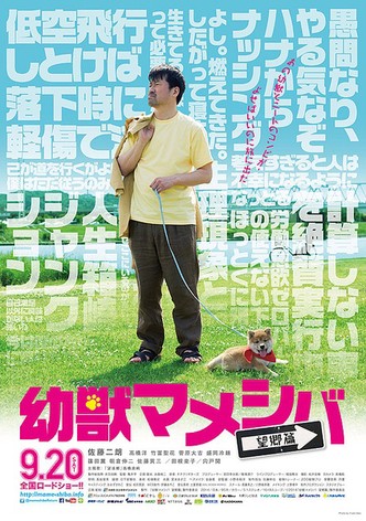 Mameshiba Cubbish Puppy: The Journey
