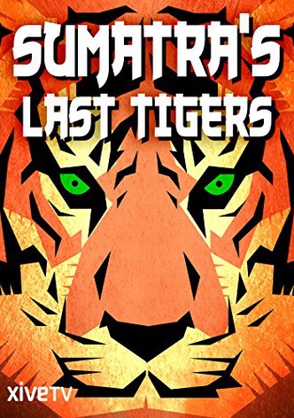 Sumatra's Last Tigers