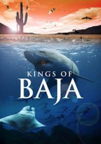 Kings of Baja