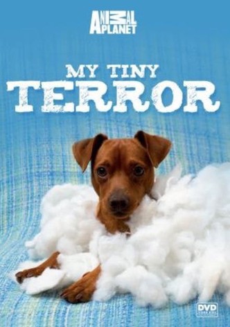 My Tiny Terror Season 1