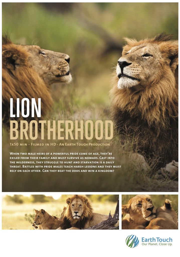 Lion Brotherhood