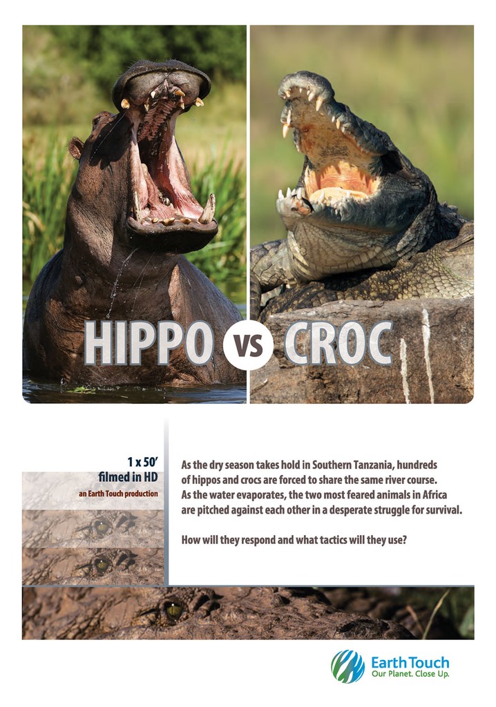 Hippo vs Croc