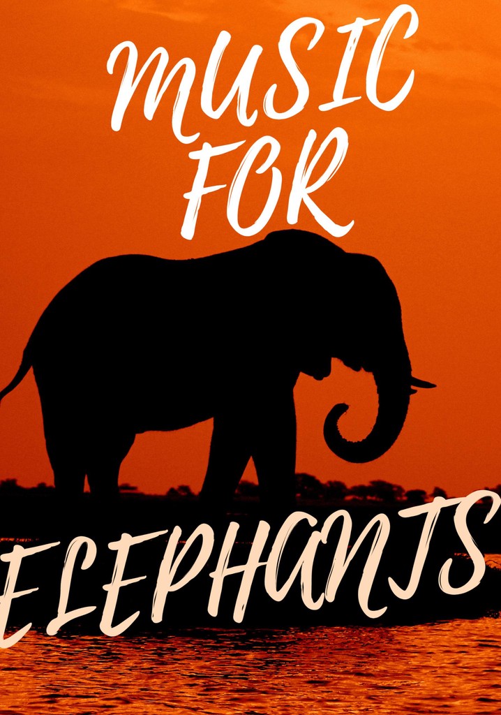 Music for Elephants