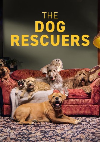 The Dog Rescuers