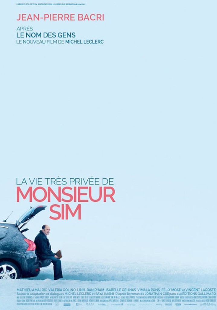 The Very Private Life of Mister Sim