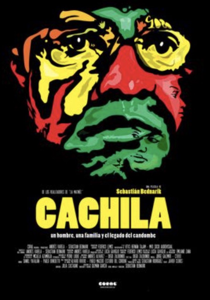 Cachila