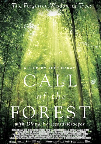 Call of the Forest: The Forgotten Wisdom of Trees