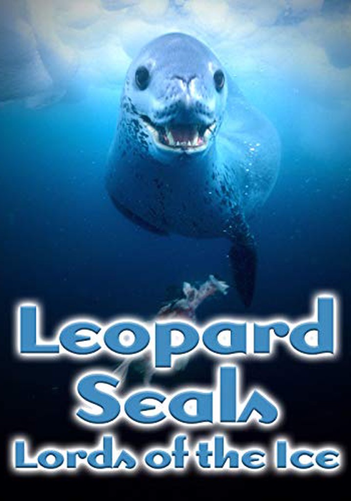 Leopard Seals: Lords of the Ice
