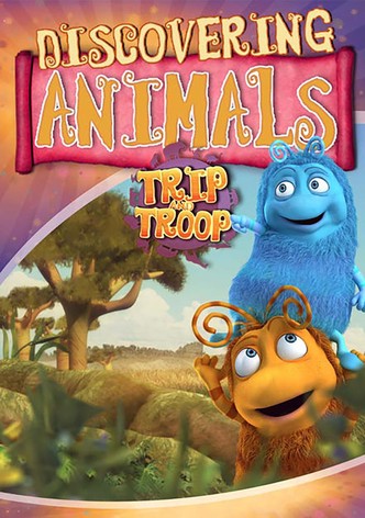 Trip & Troop - Descubriendo Animales
