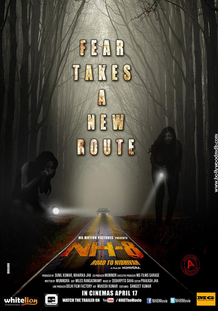 NH-8: Road to Nidhivan