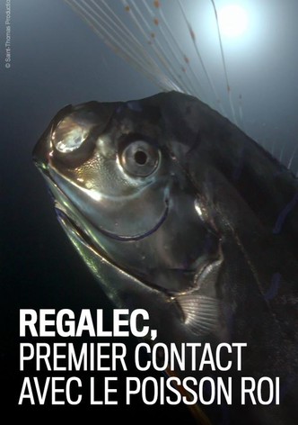 Régalec, premiers contacts avec le poisson roi