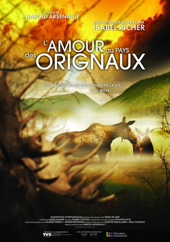 In the land of the moose