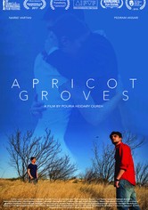 Apricot Groves