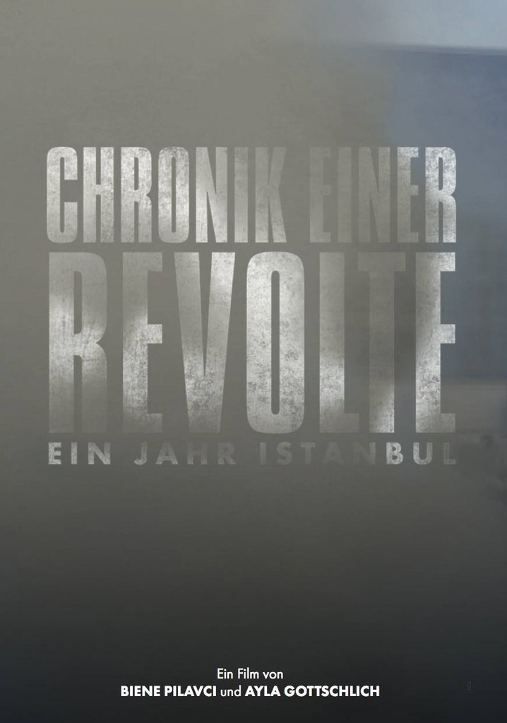 Chronik einer Revolte - ein Jahr Istanbul