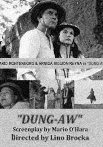 Dung-aw