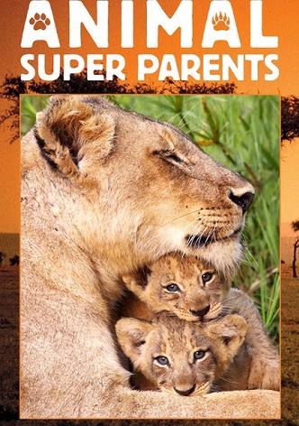 Animal Super Parents