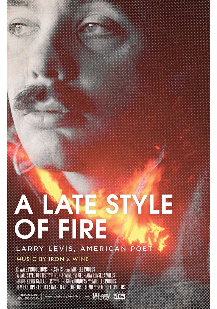 A Late Style of Fire: Larry Levis, American Poet
