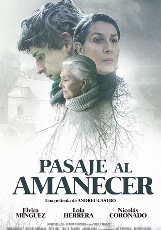 Pasaje al amanecer