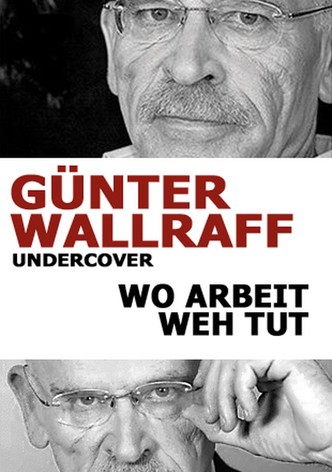 Günter Wallraff undercover - Wo Arbeit weh tut - Dokumentation