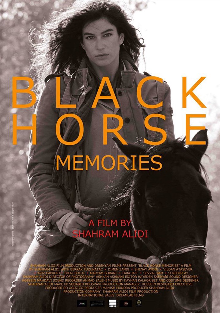 Black Horse Memories