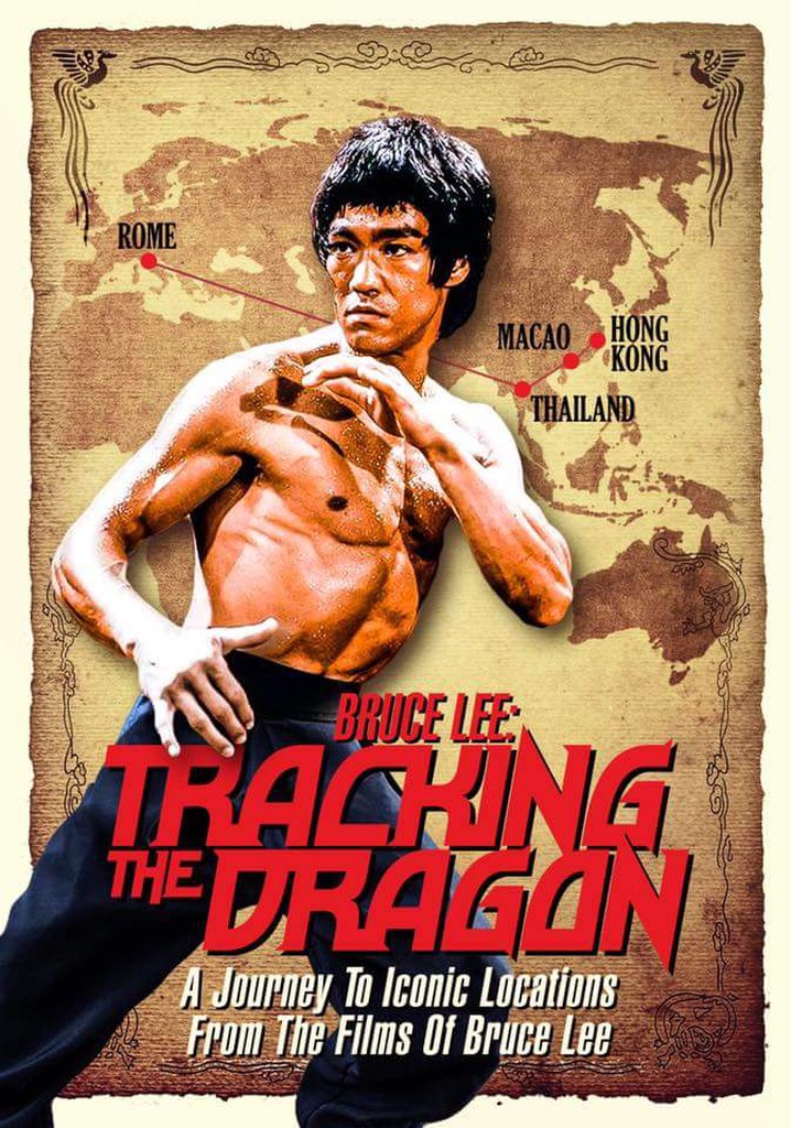 Bruce Lee: In Pursuit of the Dragon