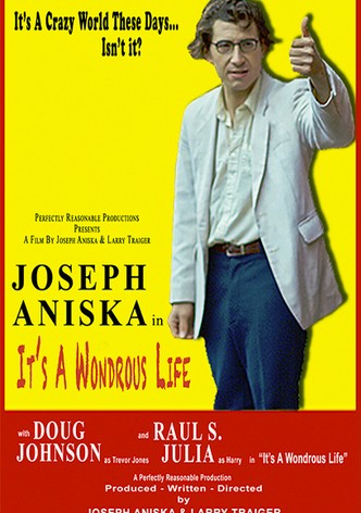 It's a Wondrous Life