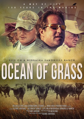 Ocean of Grass: Life on a Nebraska Sandhills Ranch