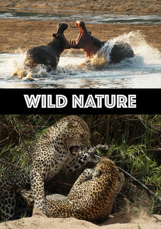 Wild Nature