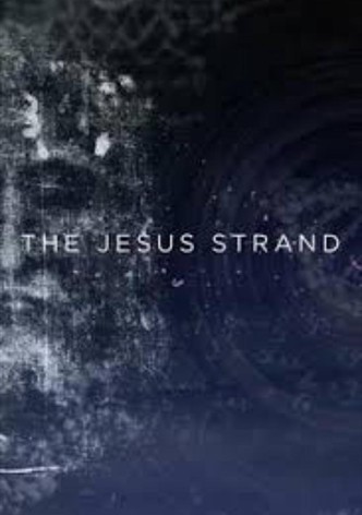 The Jesus Strand: A Search for DNA