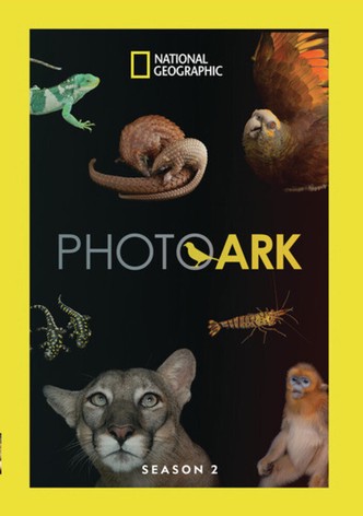 Rare: Creatures of the Photo Ark