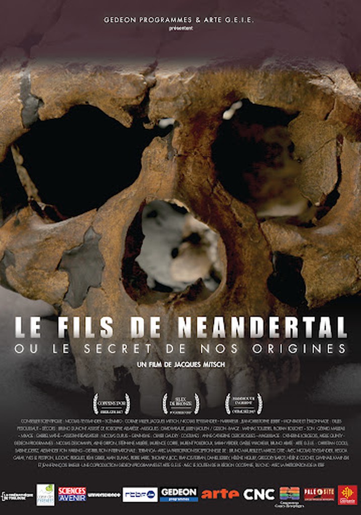 Le fils de Néandertal