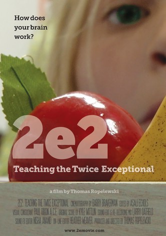 2e2: Teaching the Twice Exceptional