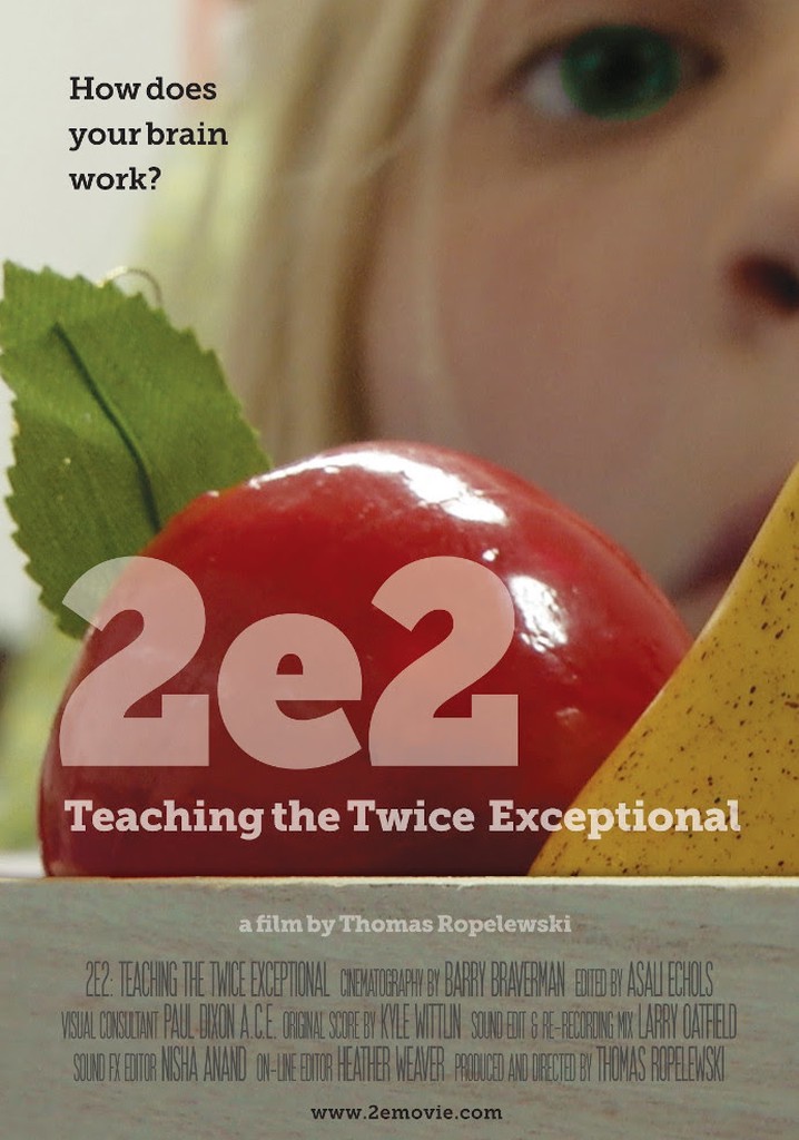 2e2: Teaching the Twice Exceptional