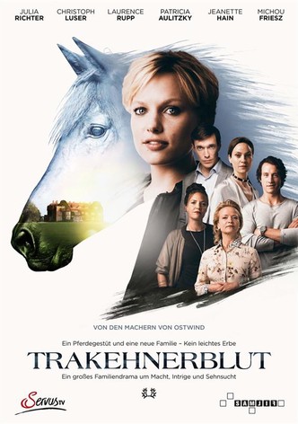 Trakehnerblut