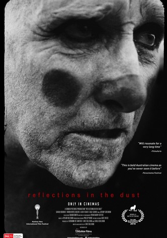 Reflections in the Dust