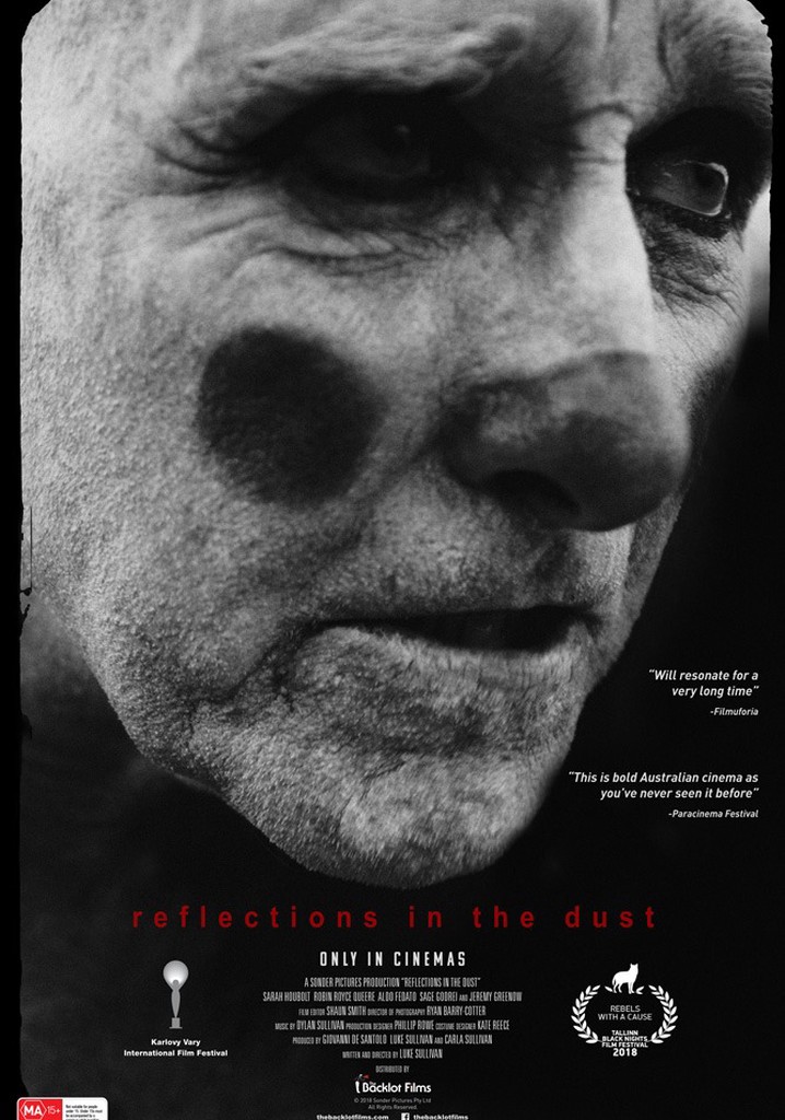 Reflections in the Dust