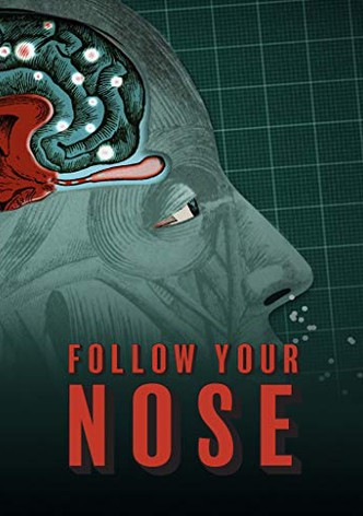 Follow Your Nose: Cracking Smell's Code