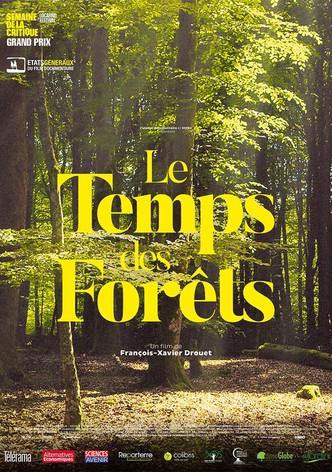 The Time of Forests